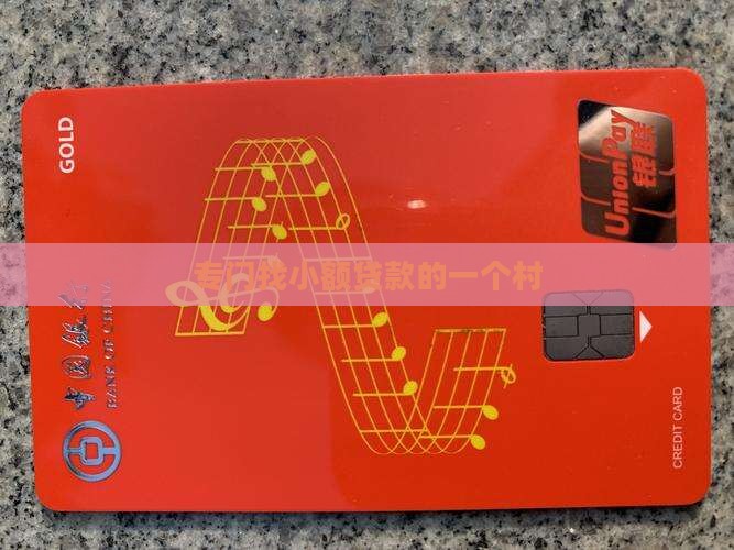 专门找小额贷款的一个村