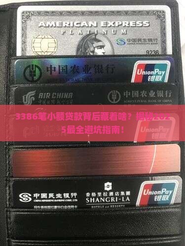 小额贷款3386笔