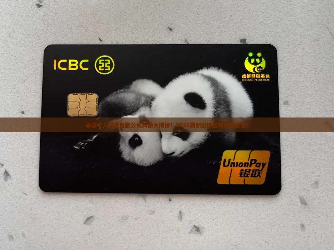 孝感个人贷款金融公司