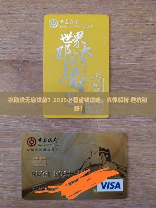 农助贷无息贷款