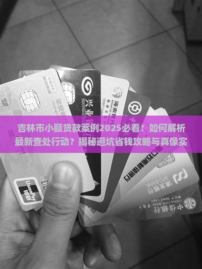 吉林市查处小额贷款案例