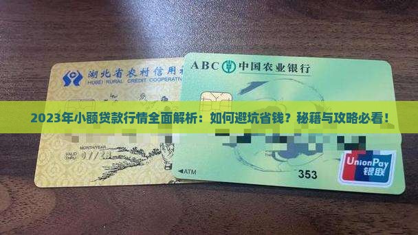 2023年小额贷款行情