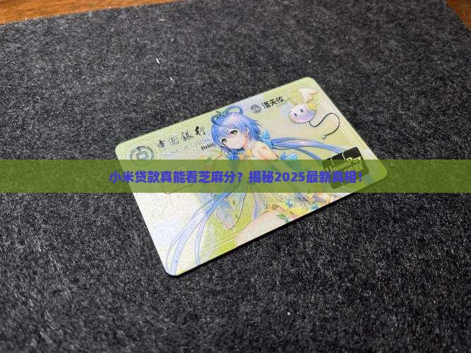 小米贷款芝麻分么