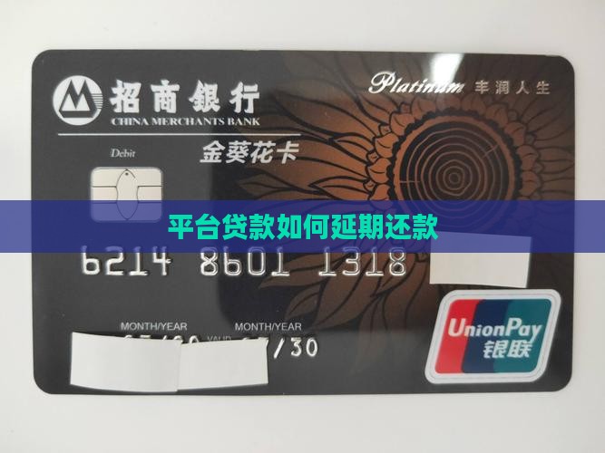 平台贷款如何延期还款