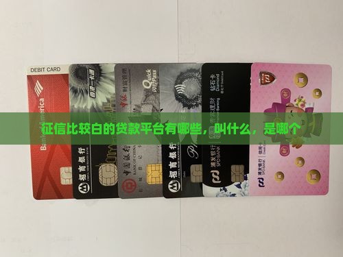 征信比较白的贷款平台