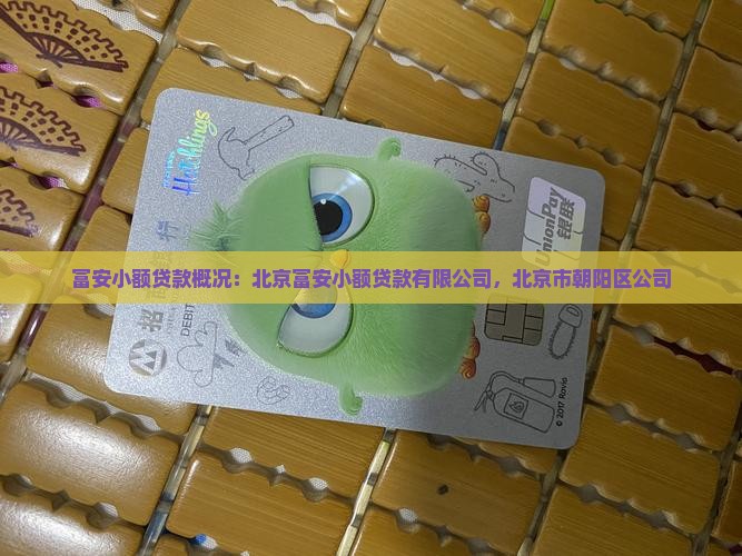 富安小额贷款概况