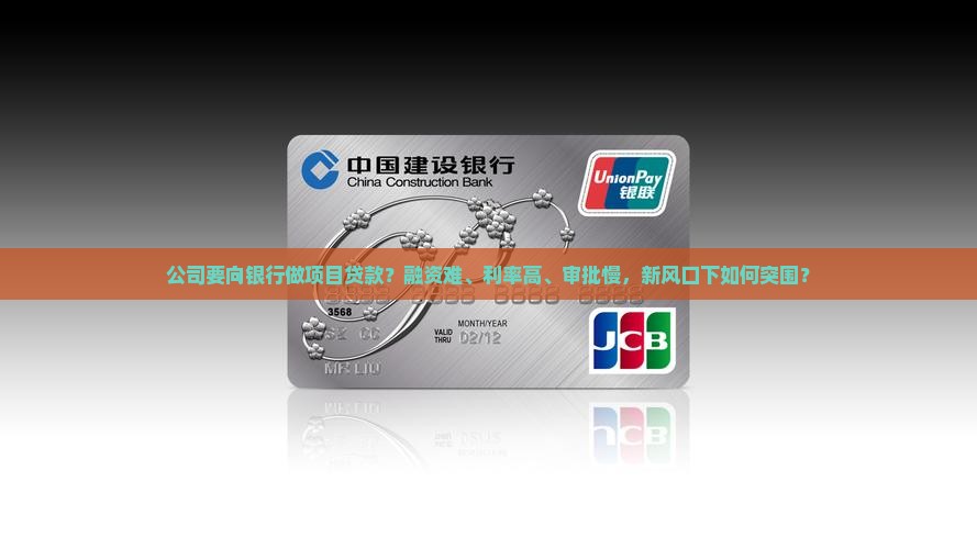公司要向银行做项目贷款
