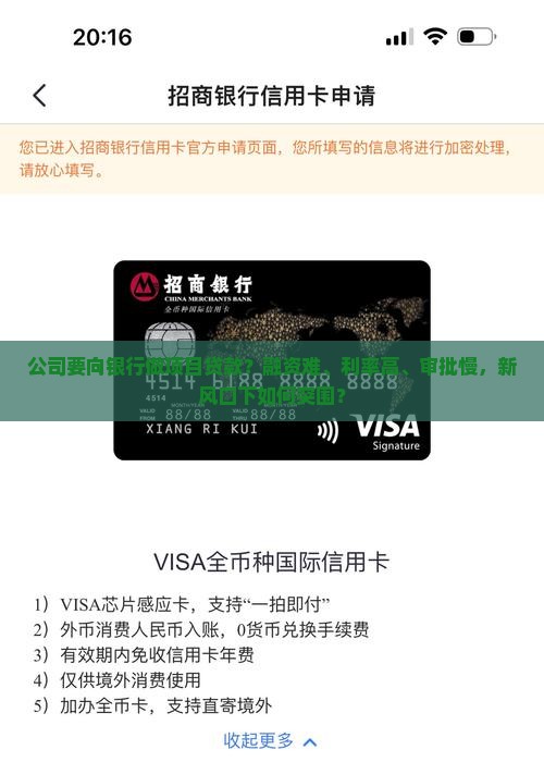 公司要向银行做项目贷款