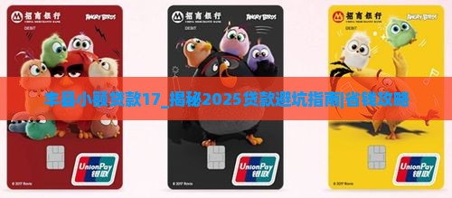 丰县小额贷款17