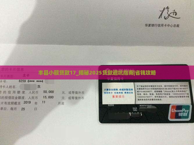 丰县小额贷款17