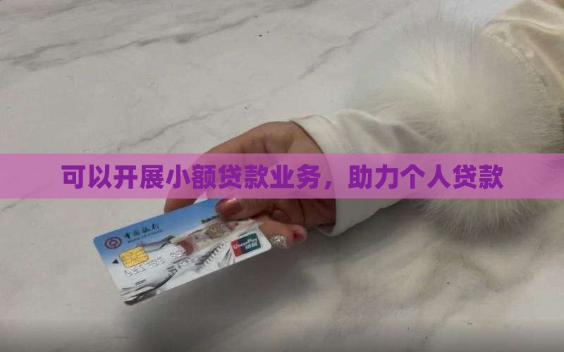 可以贷小额贷款