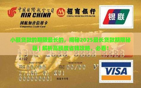 小额贷款的期限最长的