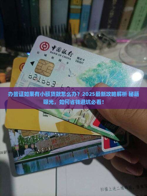 办签证如果有小额贷款