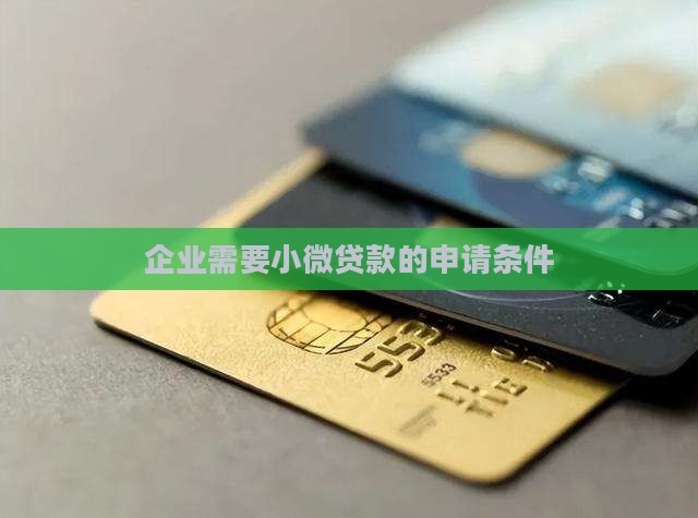 企业需要小额贷款的条件
