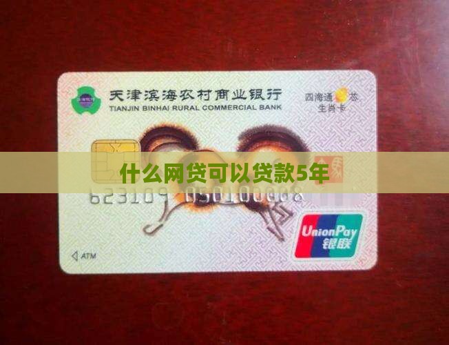 什么网贷可以贷款5年