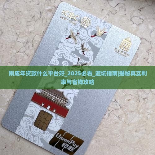 刚成年贷款什么平台好