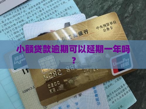 小额贷款能延期一年吗