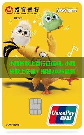 小额贷款上百行征信吗