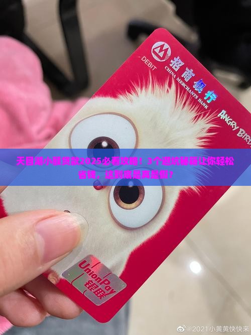 天目湖小额贷款