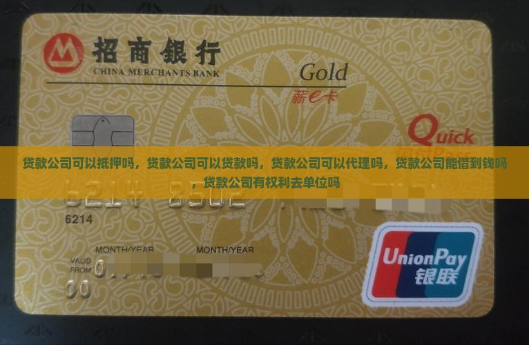 贷款公司可以抵押吗
