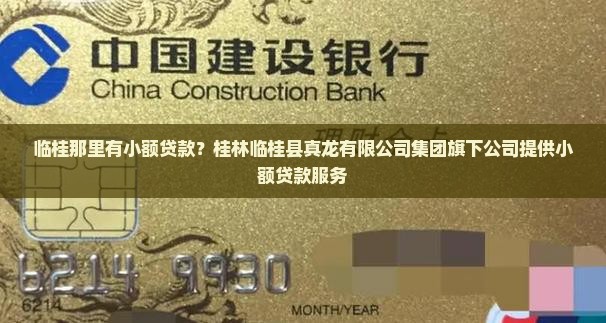 临桂那里有小额贷款