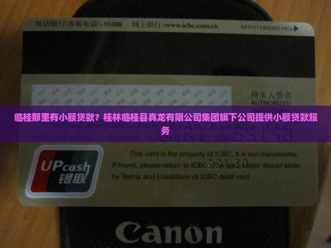 临桂那里有小额贷款