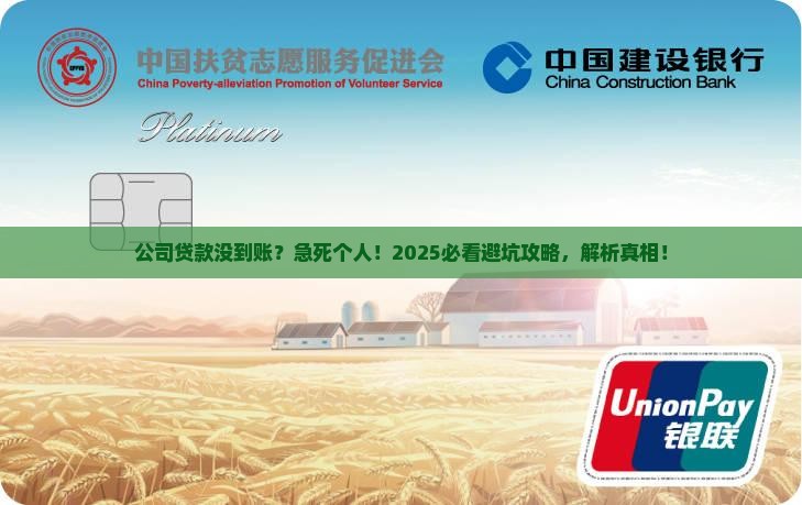 公司贷款没有到账