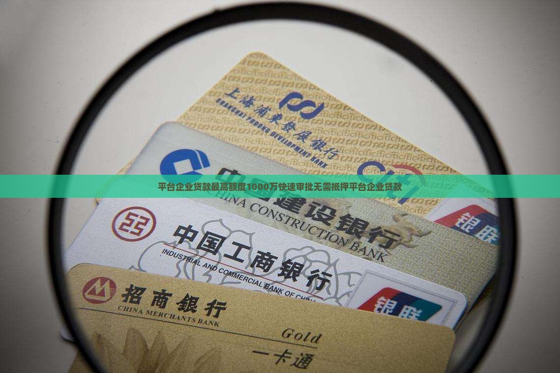 平台企业贷款