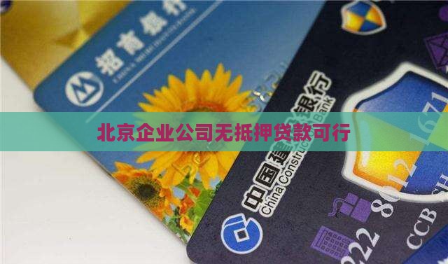 北京公司可以无抵押贷款