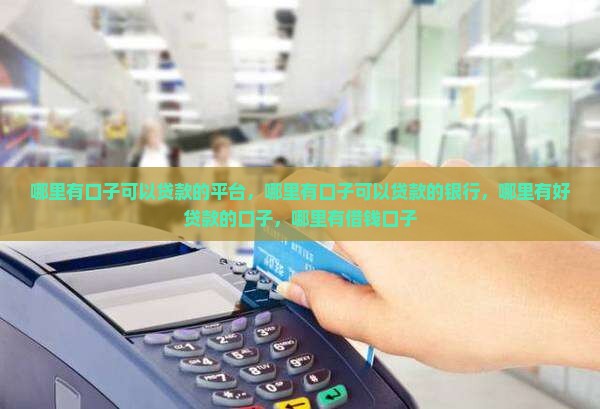 哪里有口子可以贷款的