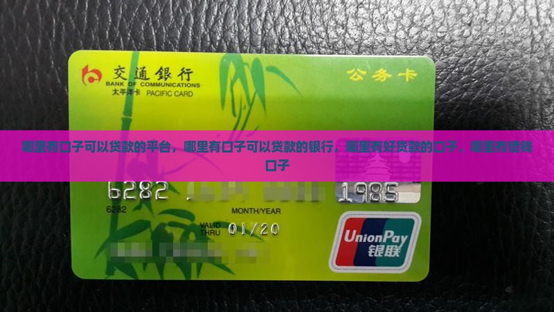 哪里有口子可以贷款的