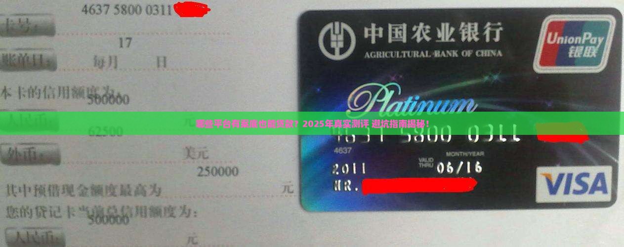 哪些平台有案底可以贷款