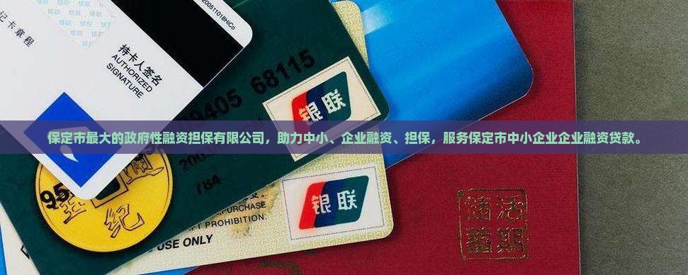 保定最大的贷款担保公司