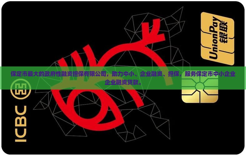保定最大的贷款担保公司