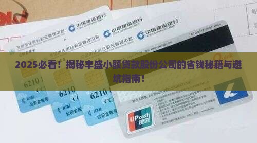 丰盛小额贷款股份公司