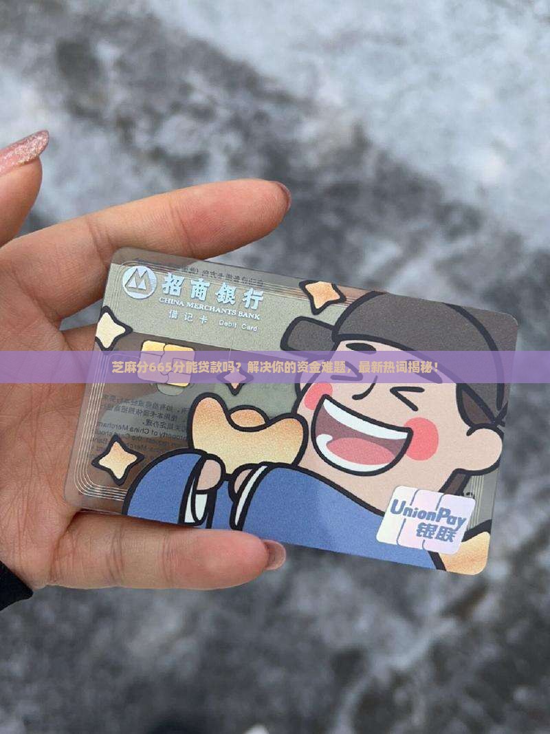芝麻分665分贷款