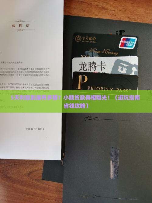 小额贷款5天息