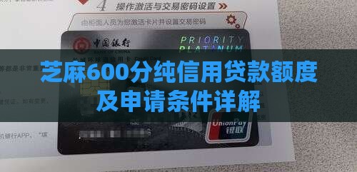 芝麻600分纯信用贷款