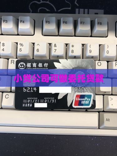 小贷公司可做委托贷款