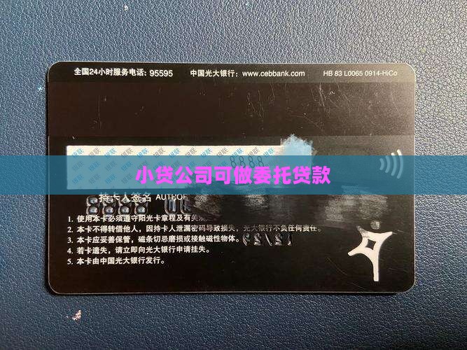 小贷公司可做委托贷款