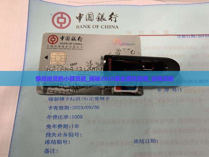 像拍拍贷的小额贷款
