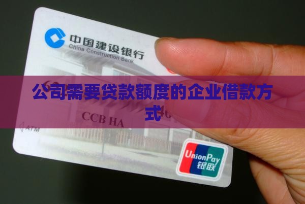 公司需要贷款额度