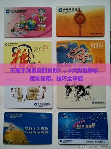 不属于消费类的贷款