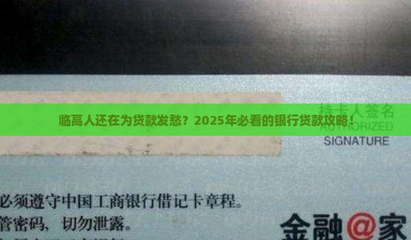 临高哪个银行可以贷款