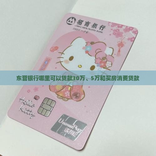 东营银行哪里可以贷款