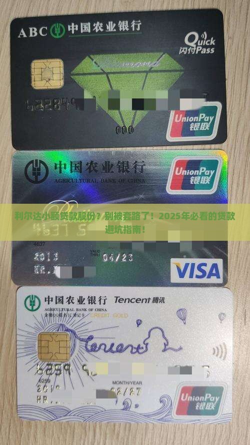 利尔达小额贷款股份