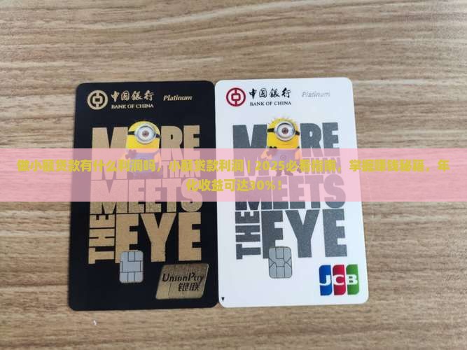 做小额贷款有什么利润吗