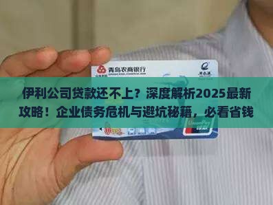 伊利公司贷款还不上