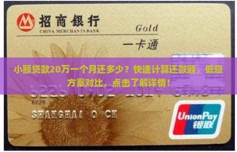 小额贷款20万一个月还多少