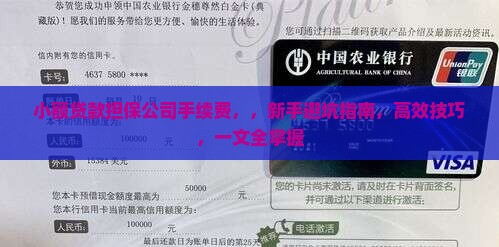 小额贷款担保公司手续费
